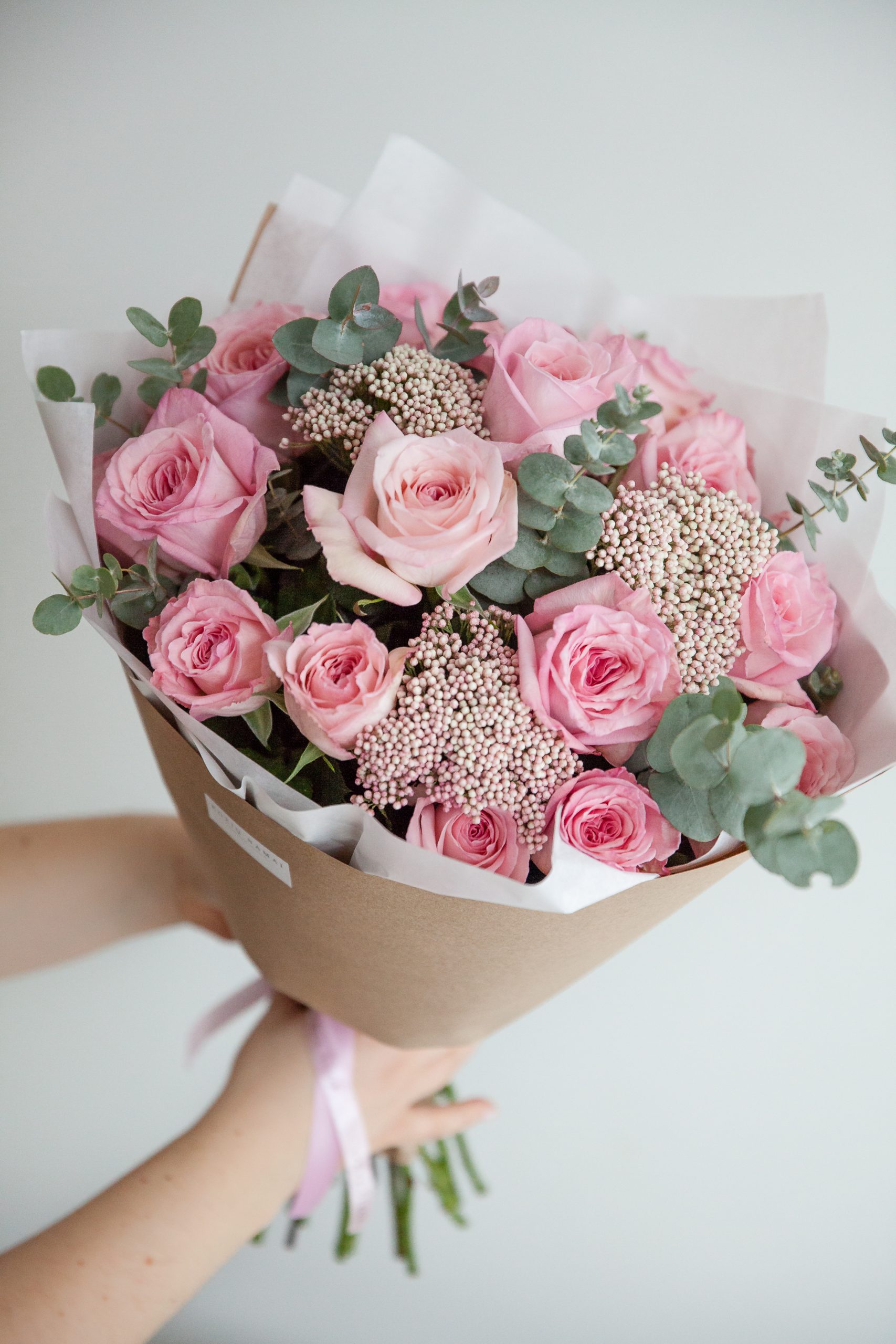 Bijūninės rožės Pink Ohara + ozothamus