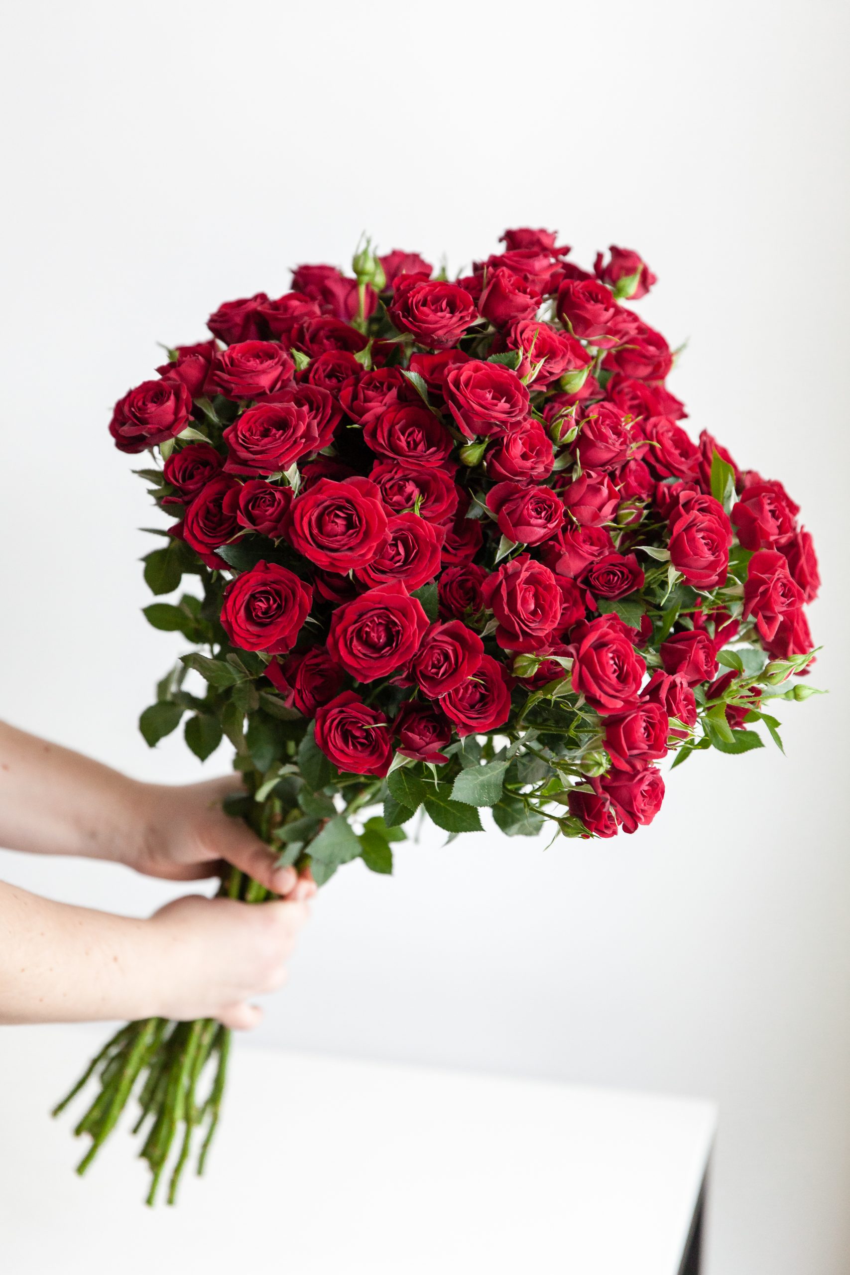Daugiažiedės rožės “Rubicon” 15 vnt. paveikslelis