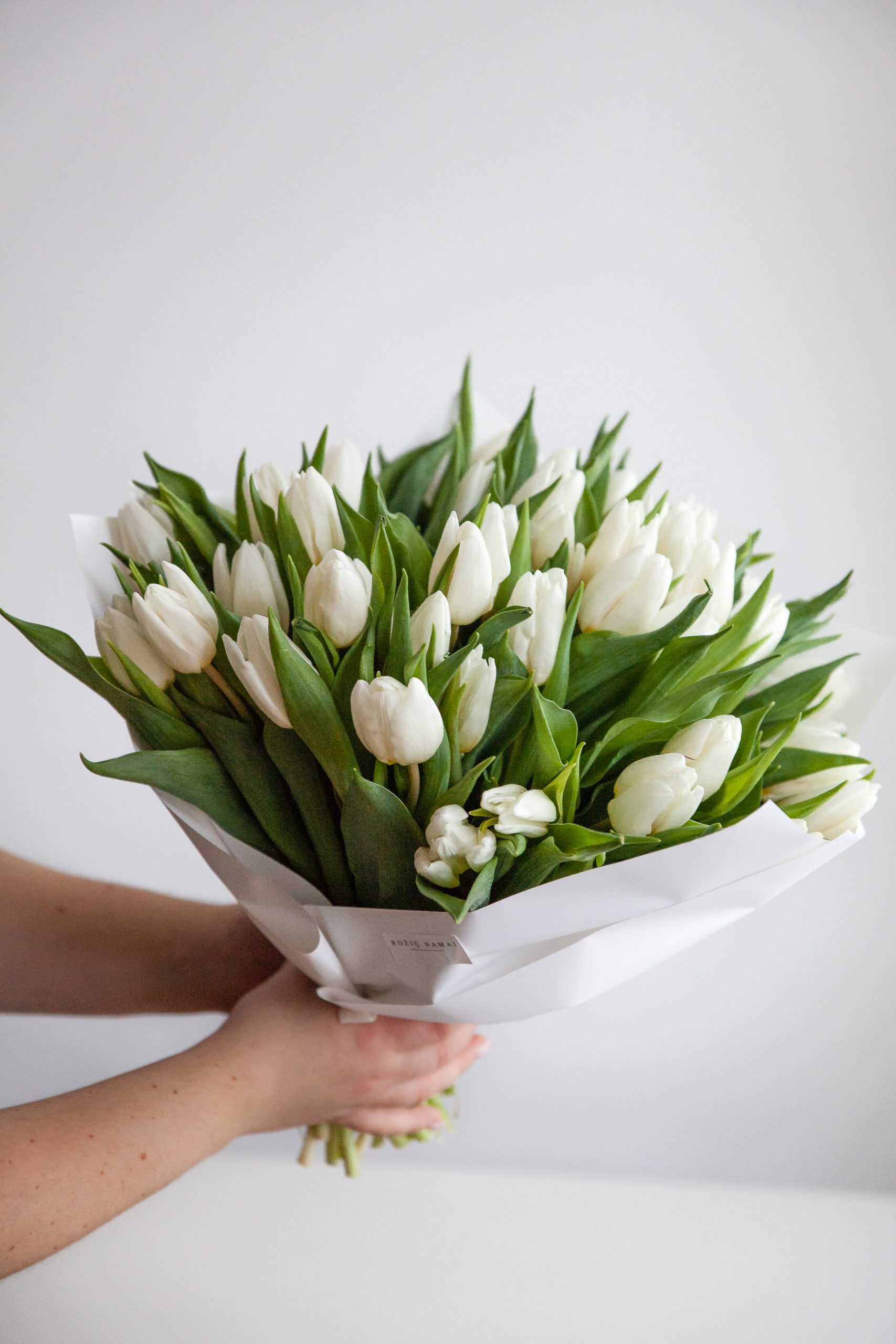Tulpės “White” paveikslelis