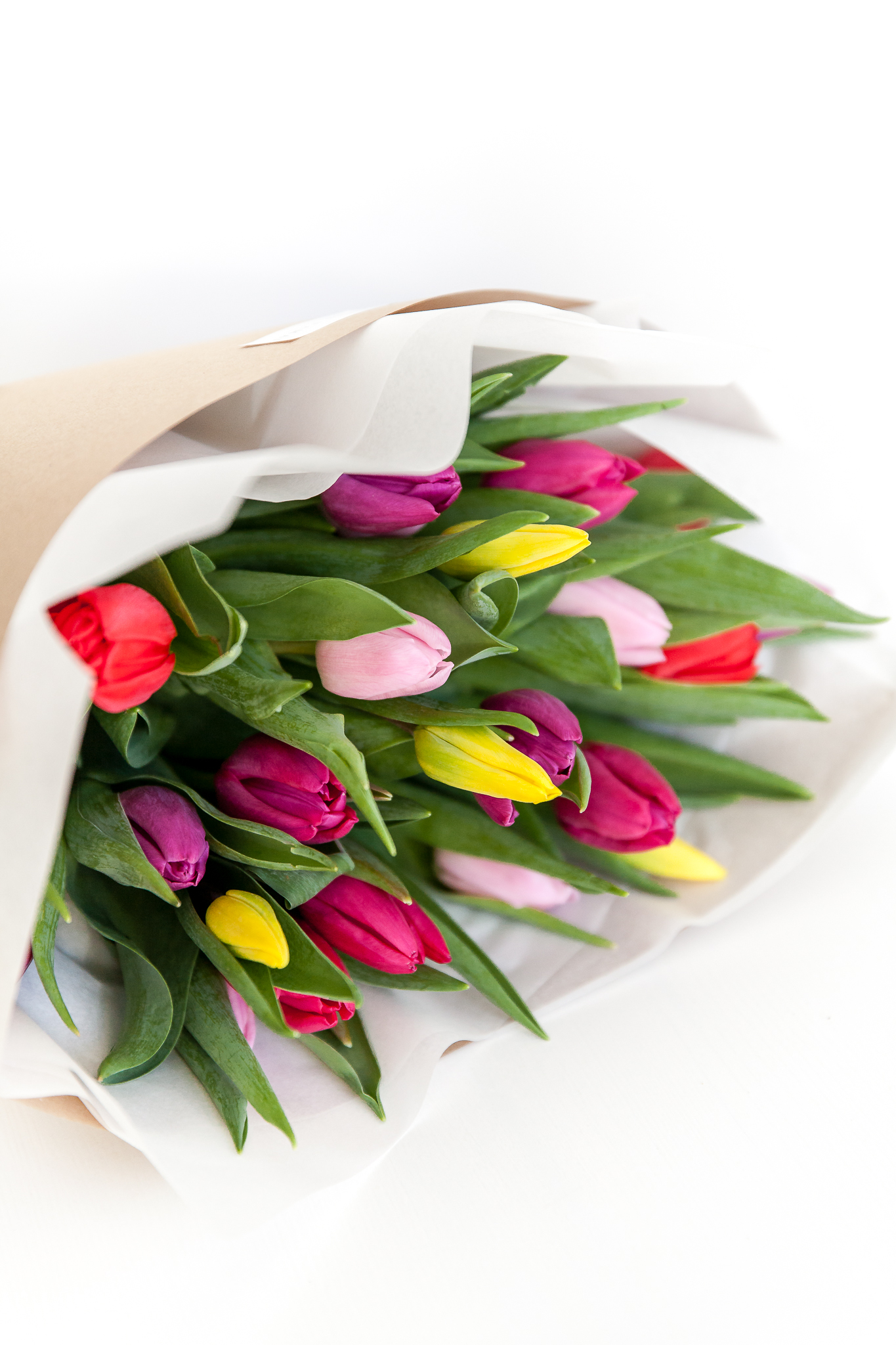 Tulpės įvairių spalvų paveikslelis