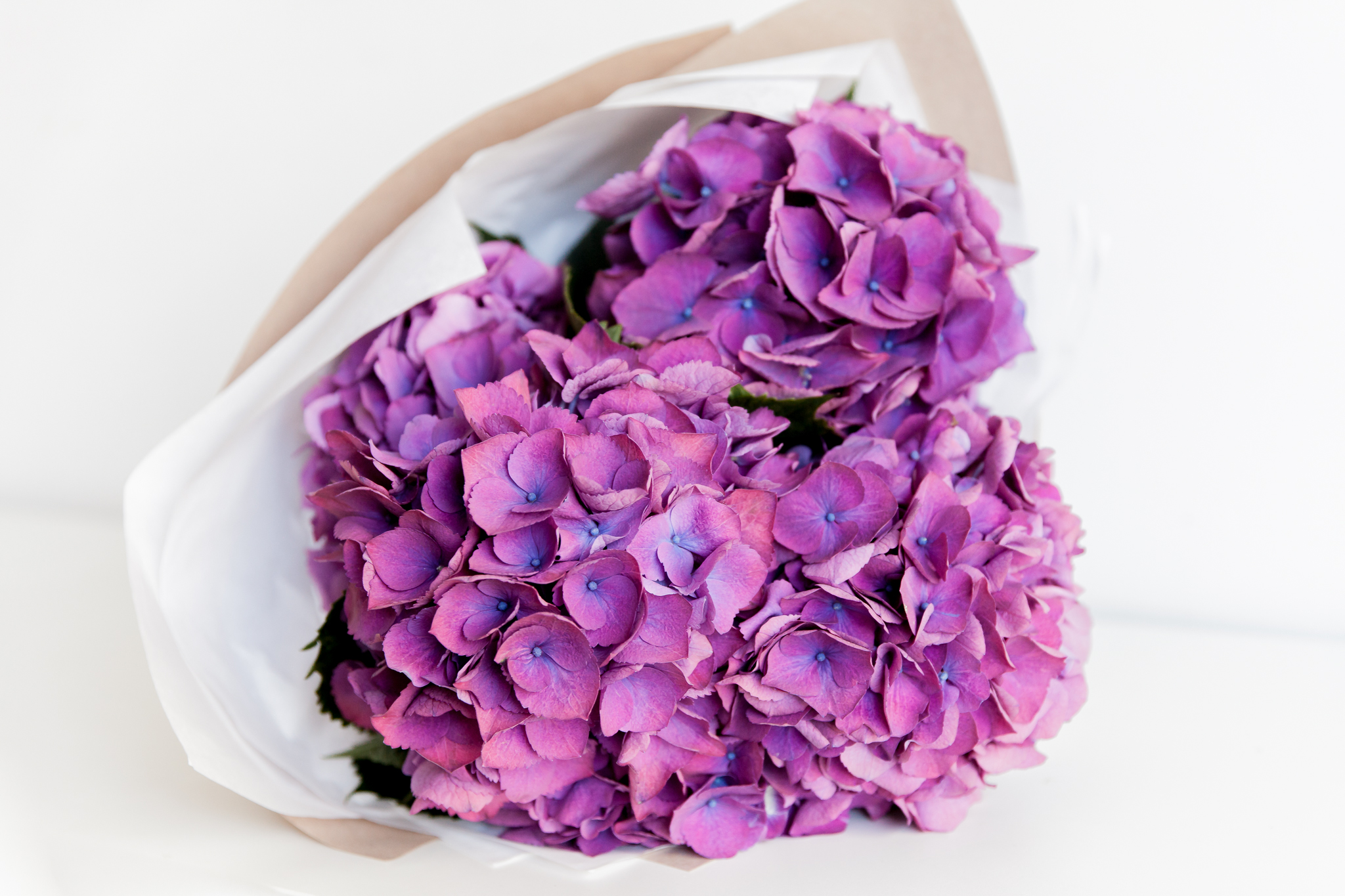 Hortenzijos violetinės 3vnt. paveikslelis